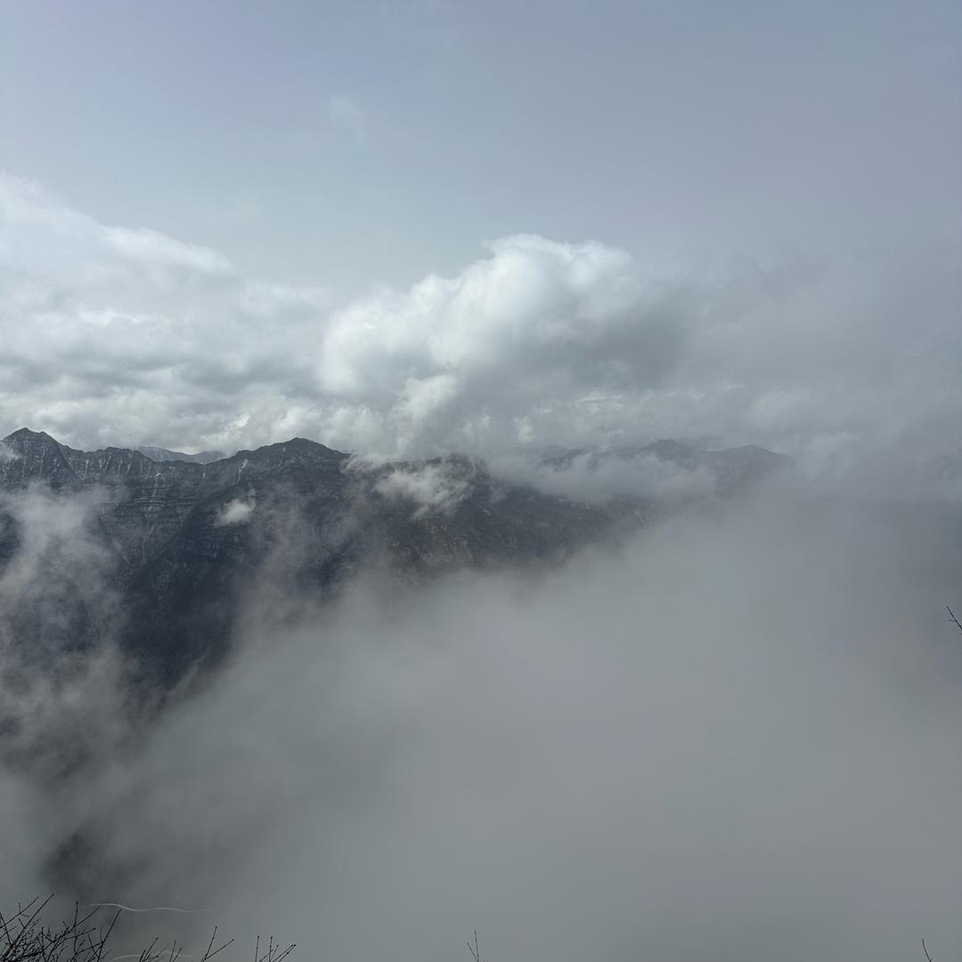 不露脸老板