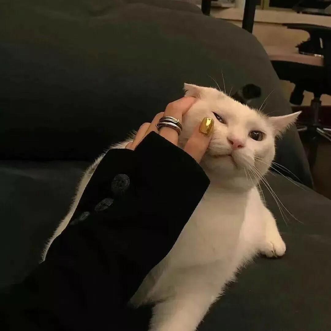 太早