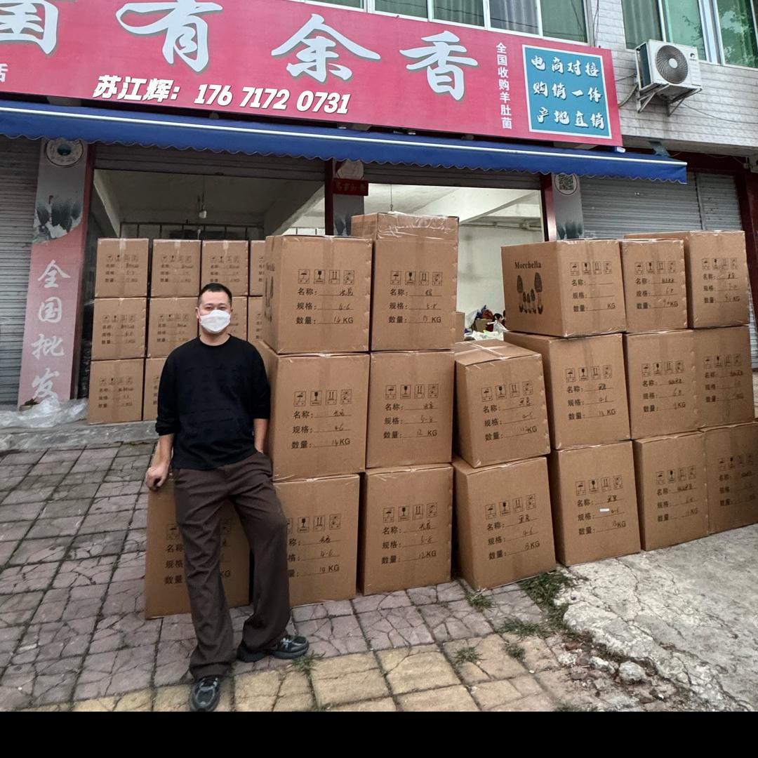 羊肚菌一条龙