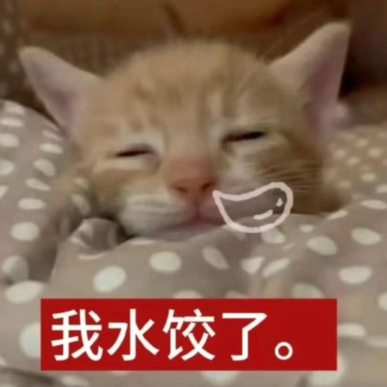 呆b思