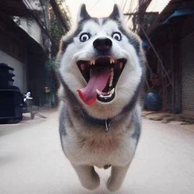 微瘦的胖子