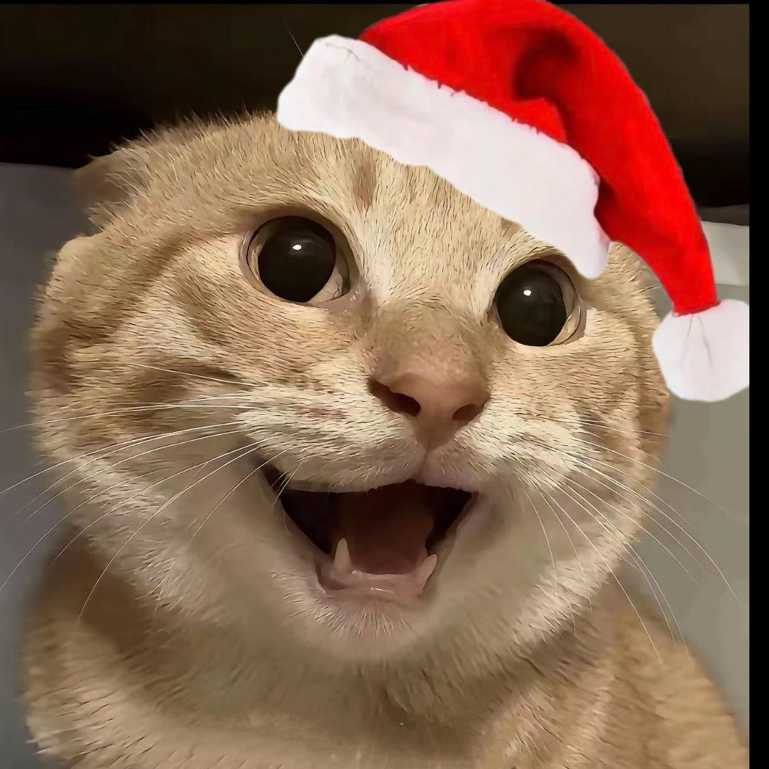 天空闪过灿烂花火