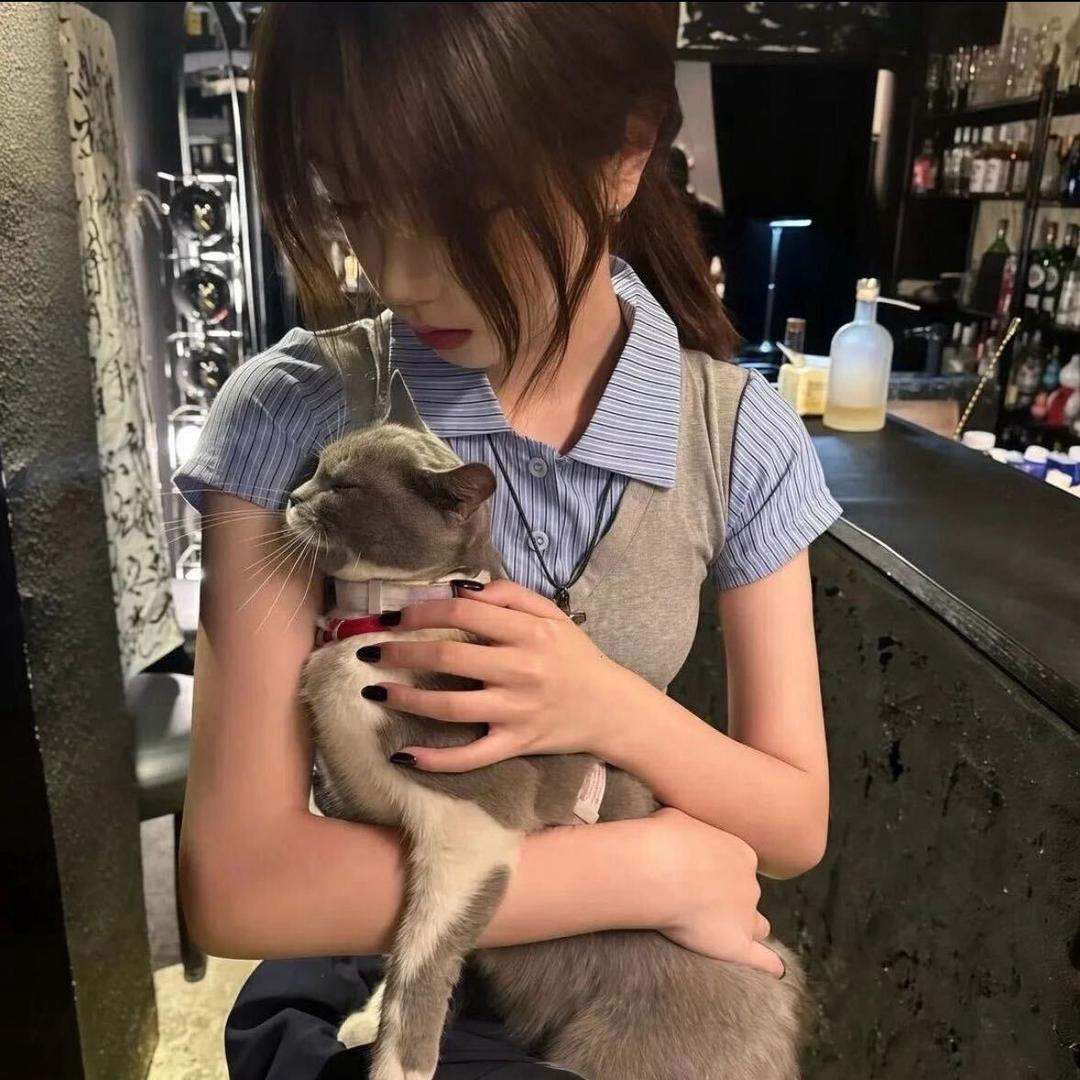 不晚安