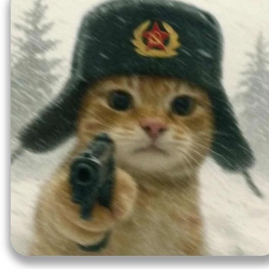 兔头