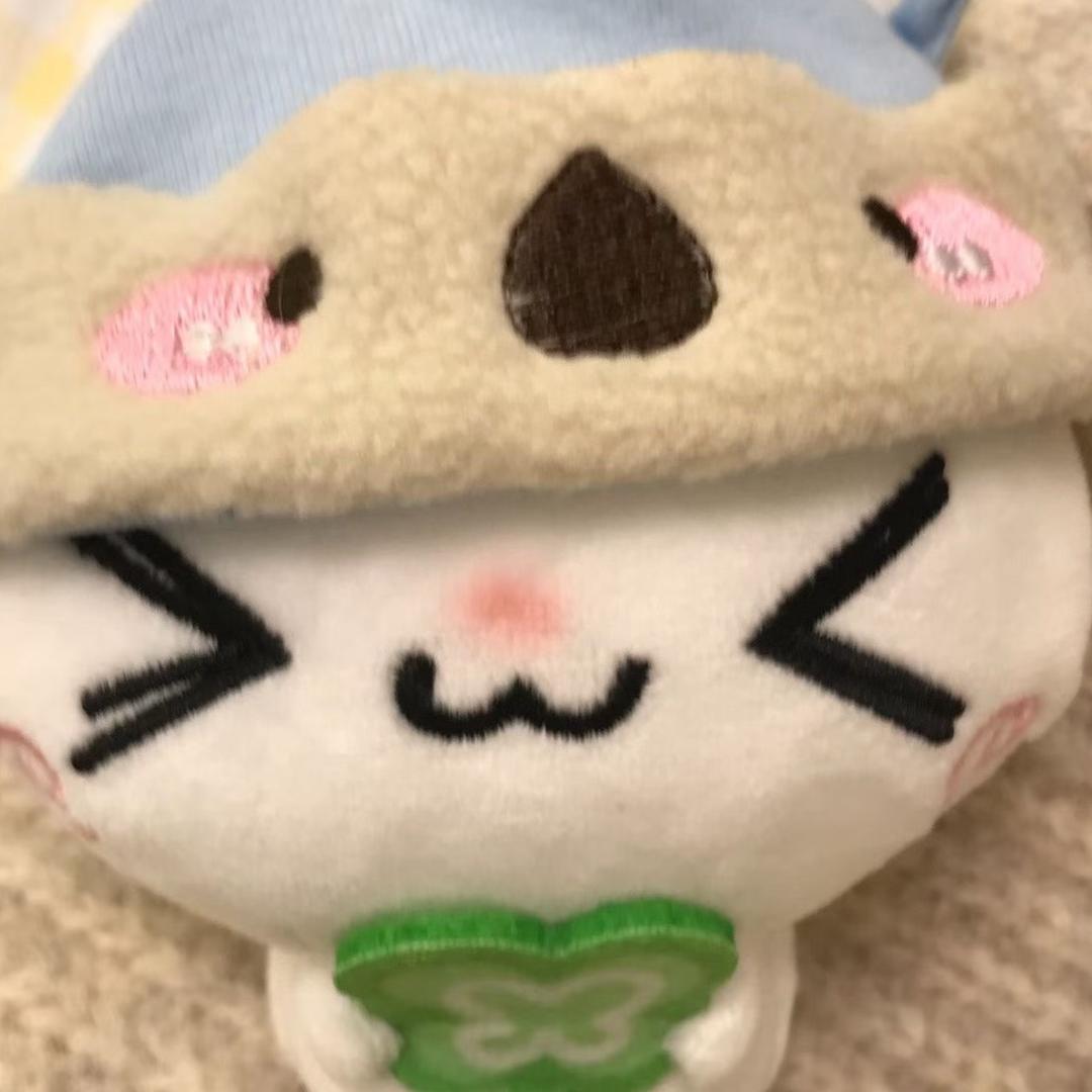 小狗乖乖