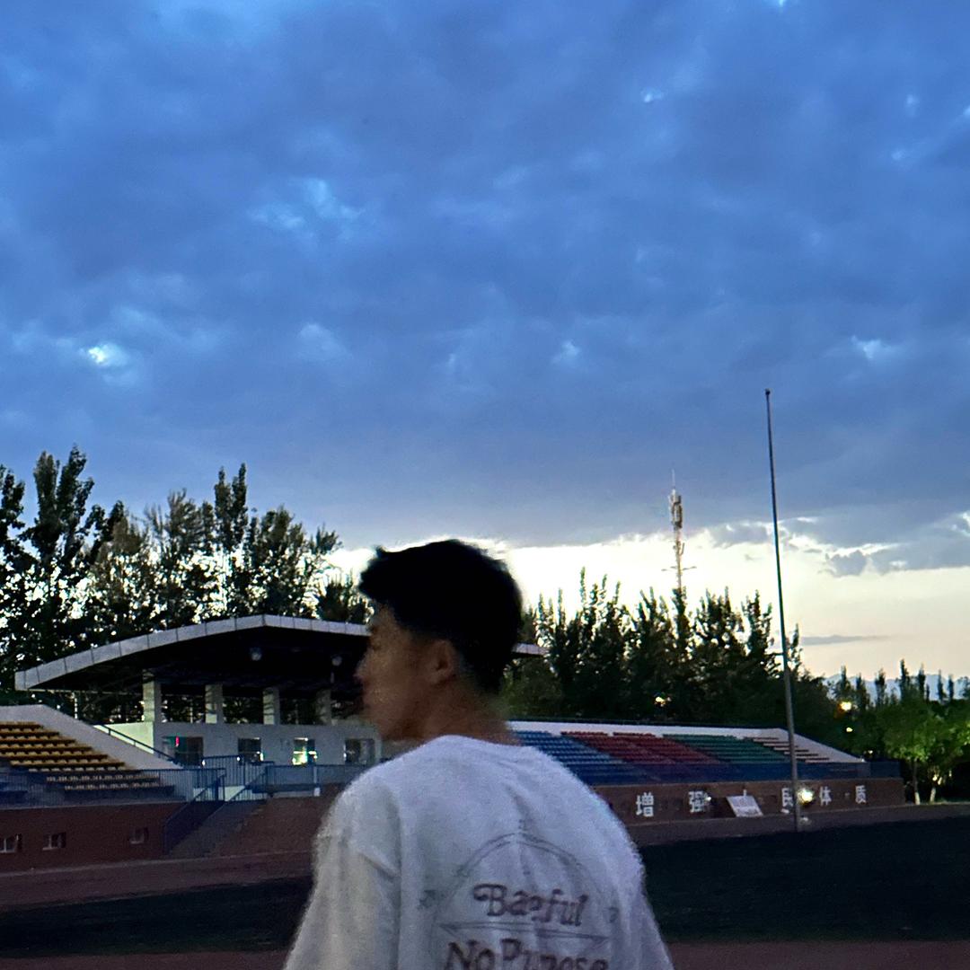 清炖红烧鱼 p