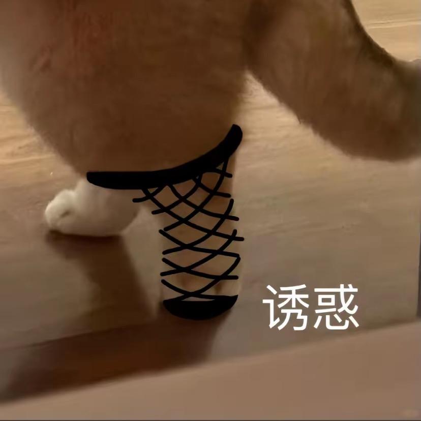 AA建材李哥