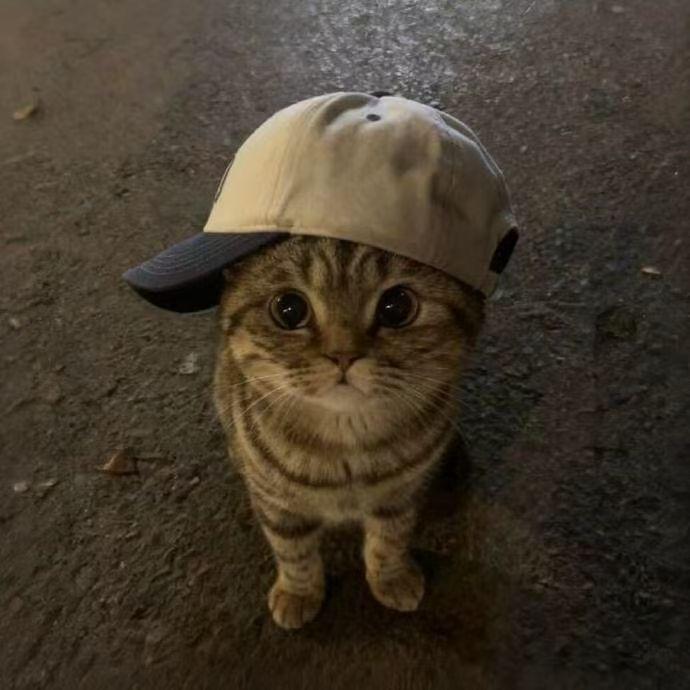 。。