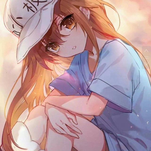 朱里