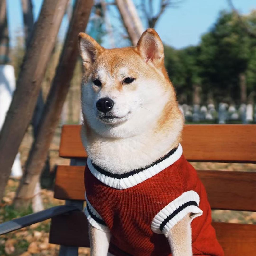 还没想好叫个啥