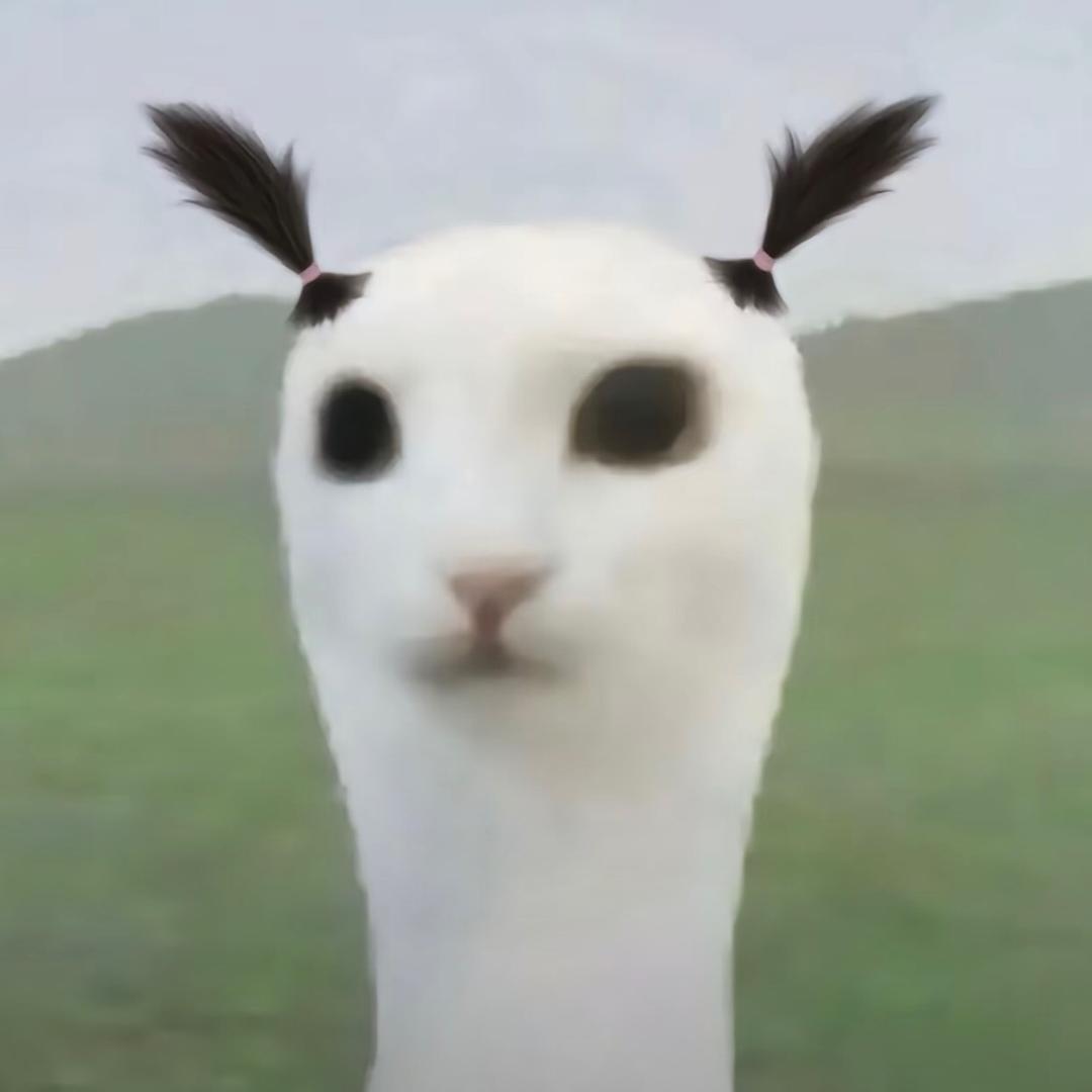 h h