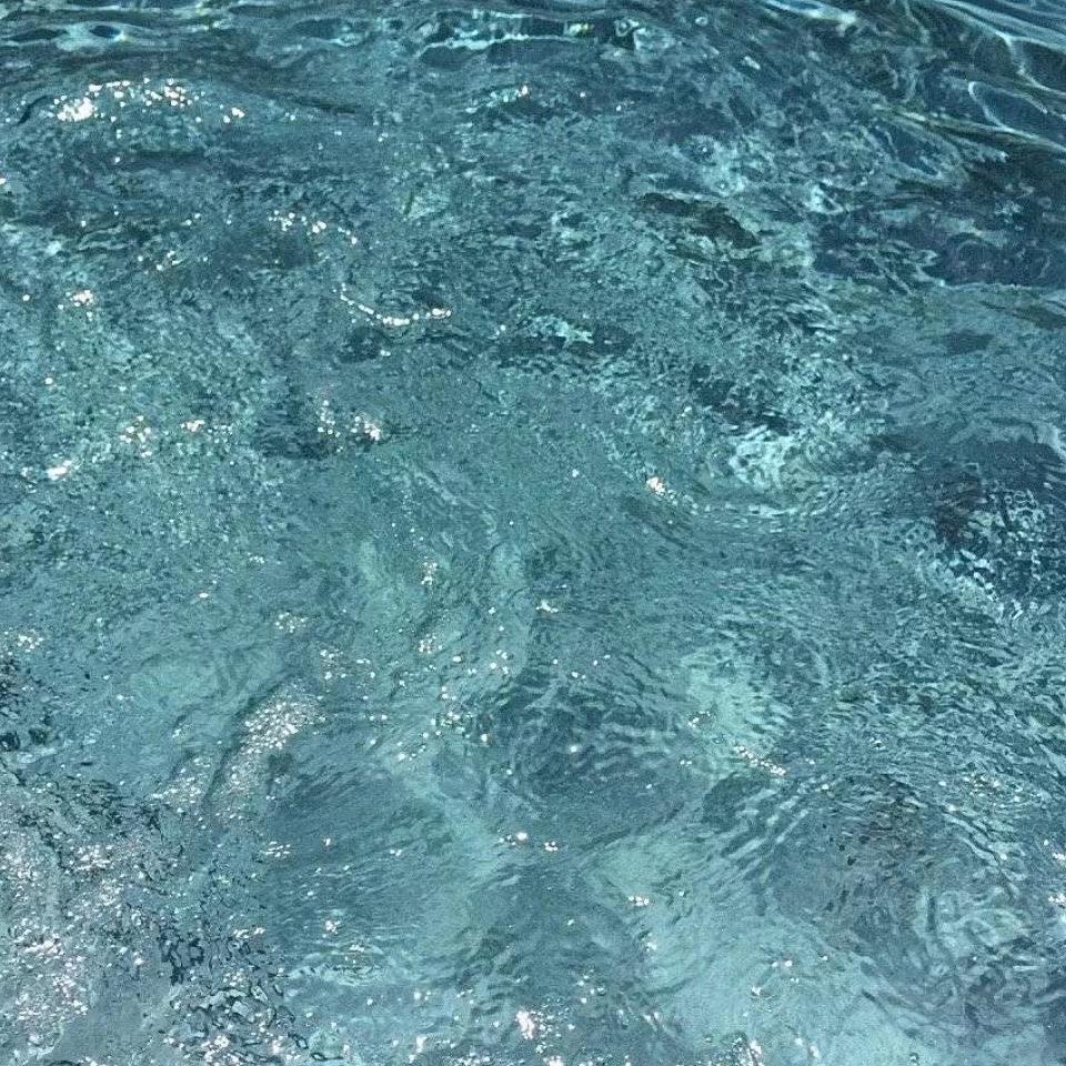 豆豆豆