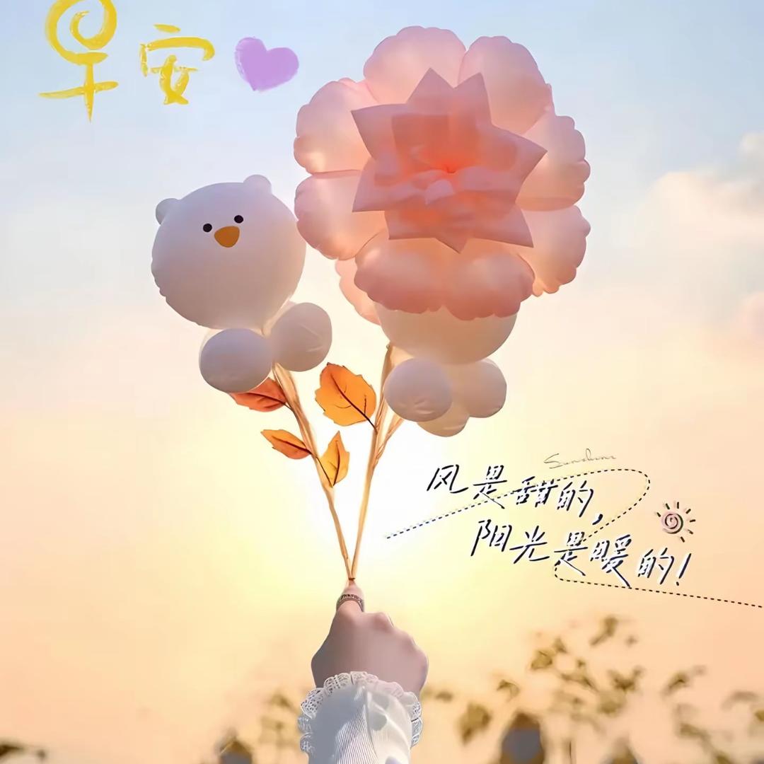 q(╯ᆺ╰๑)