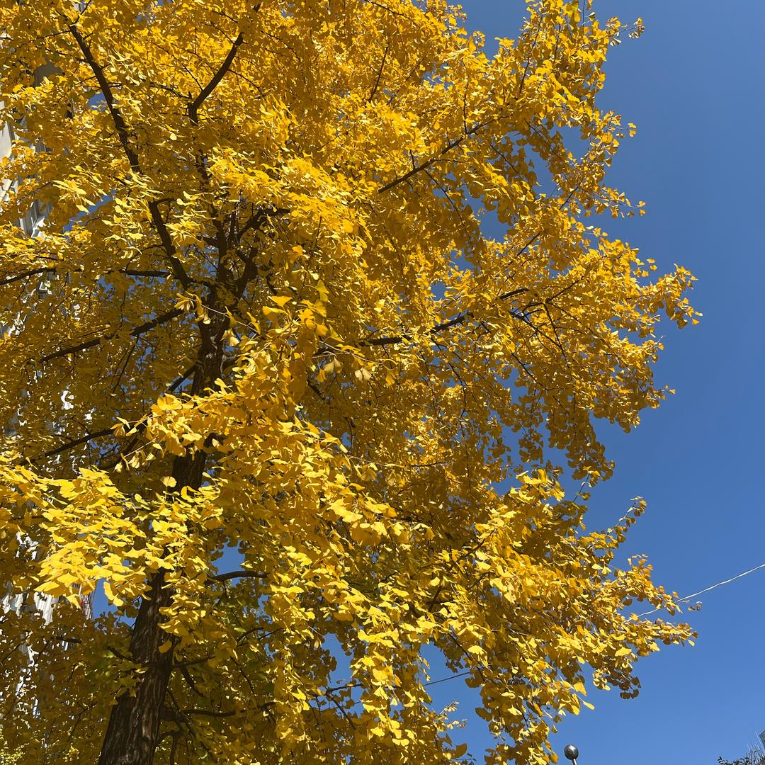 养生.养出好气色