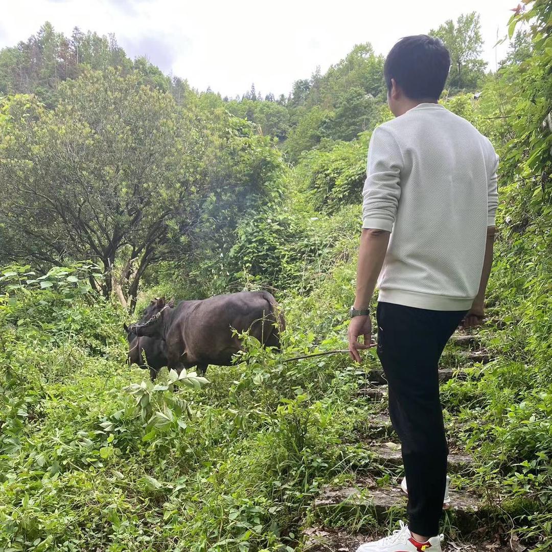比刀郎还冲动