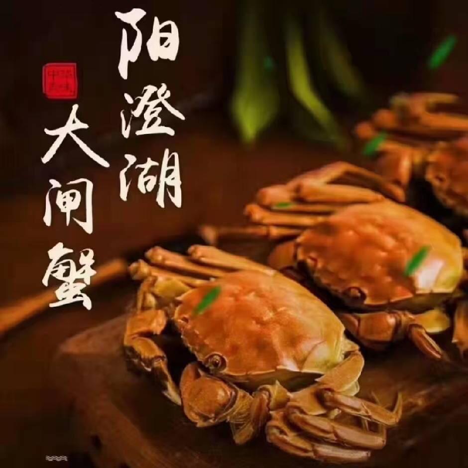 阳澄湖大闸蟹