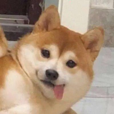 %1度头像