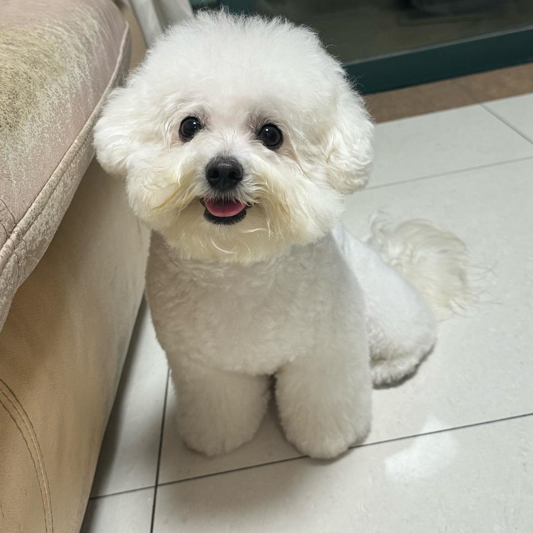 麻木