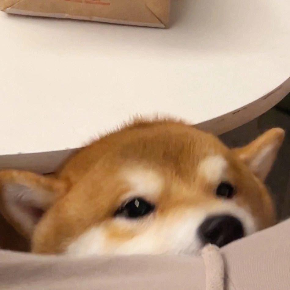 湫叶