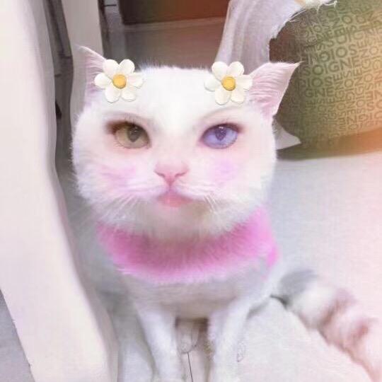 水蜜桃