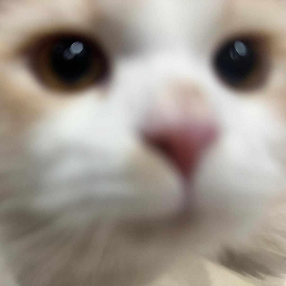 阿和