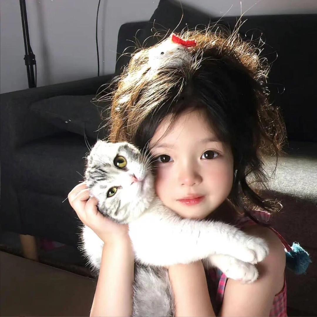 哈小咪