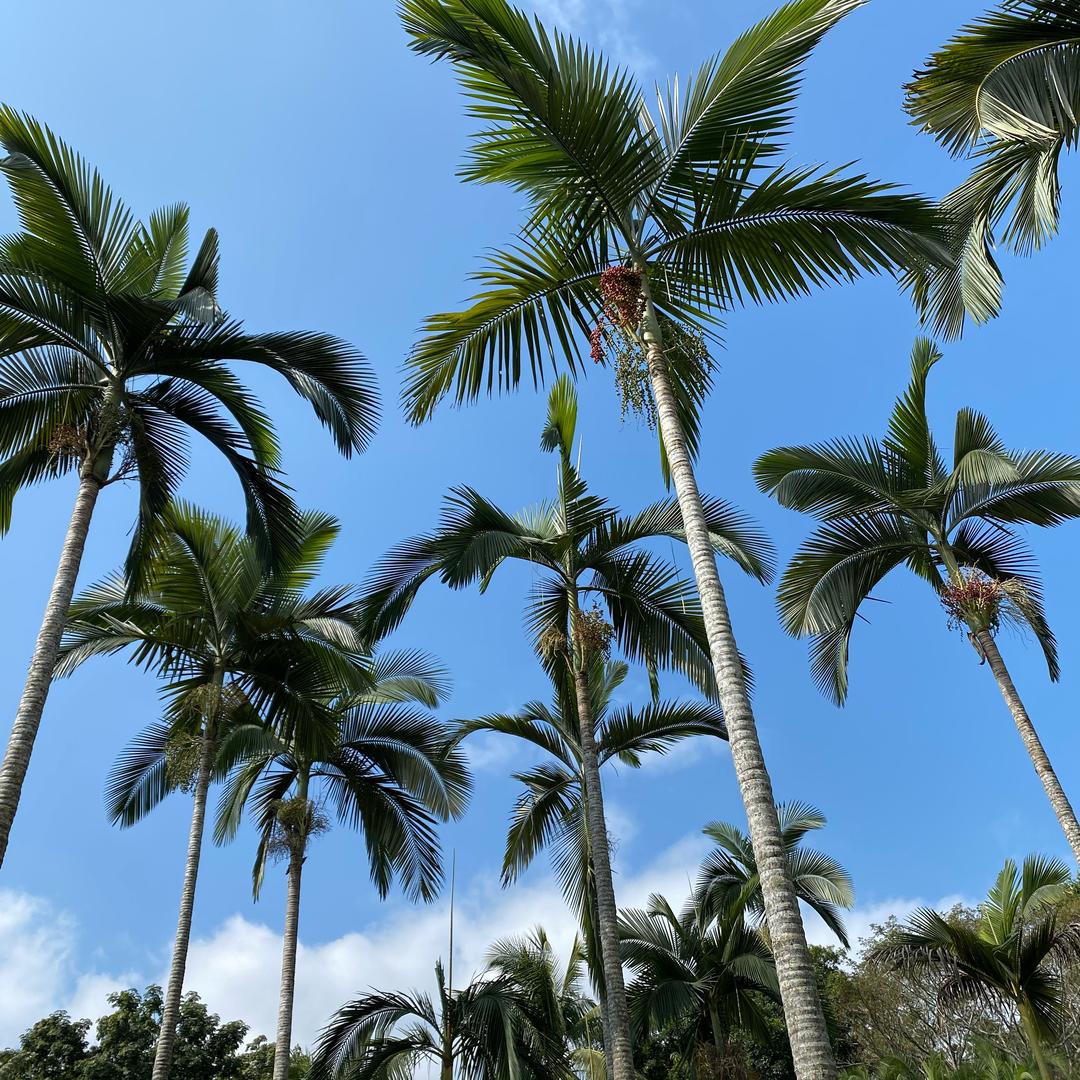 陕西女娃👧🏻大娟