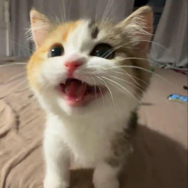 小琦(^_^;)