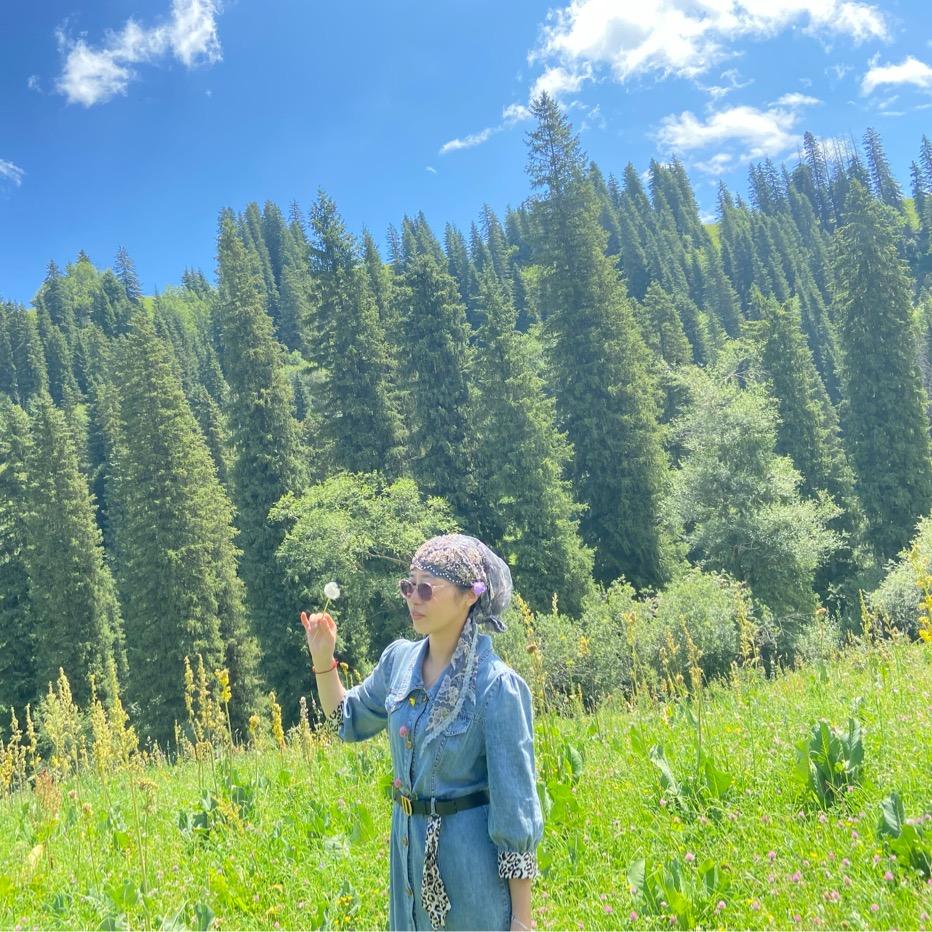 晨晨妈好物新疆包邮