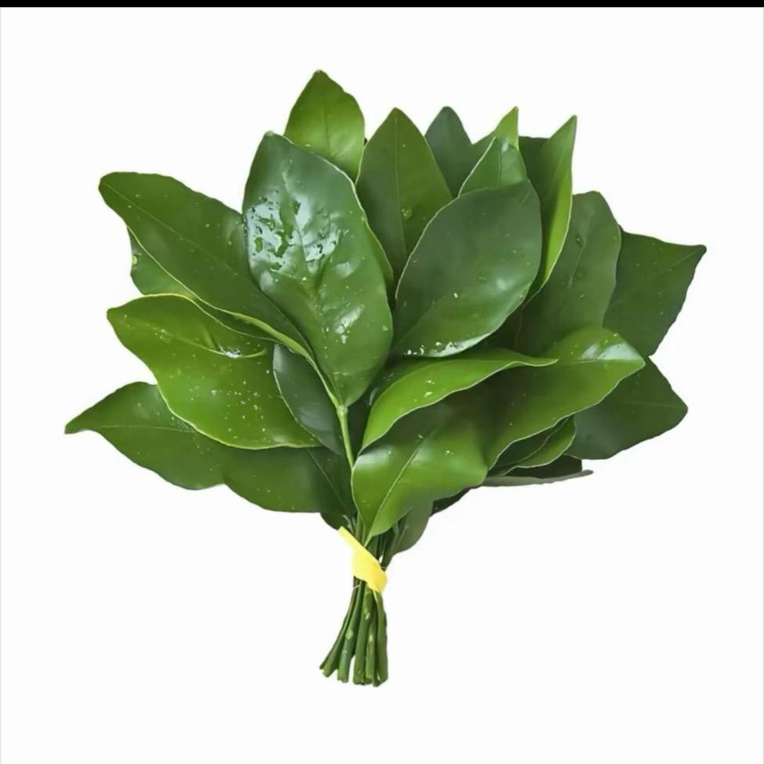 多乐妈在卖花🌸