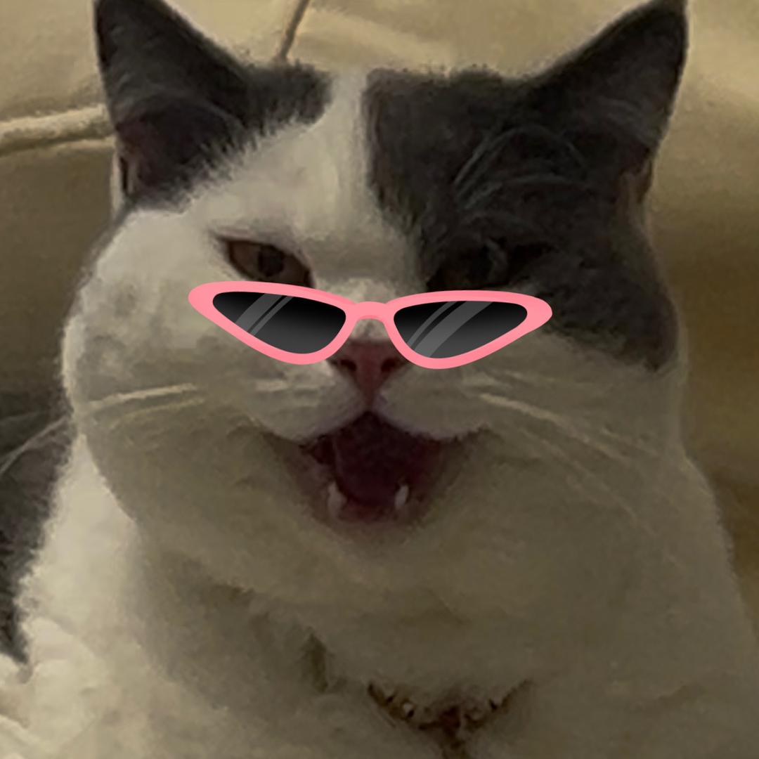 嘿皮（暗区突围）