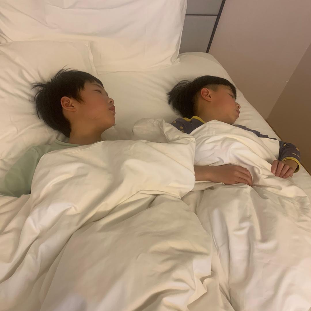 家有神兽