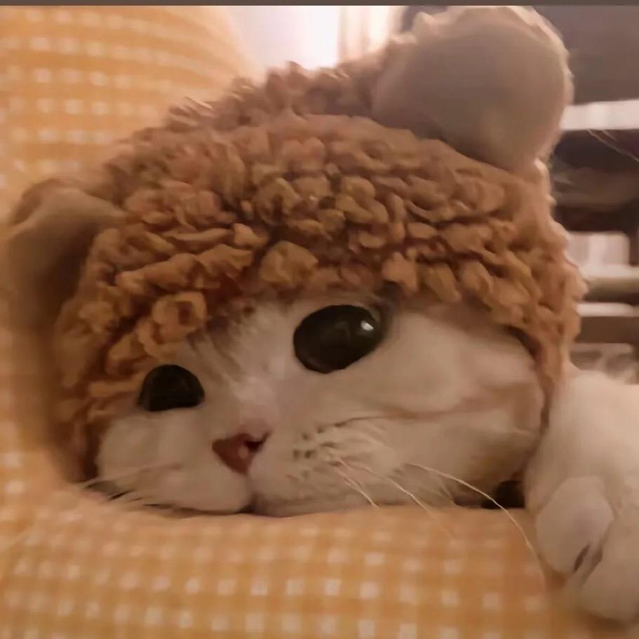 听你说吧