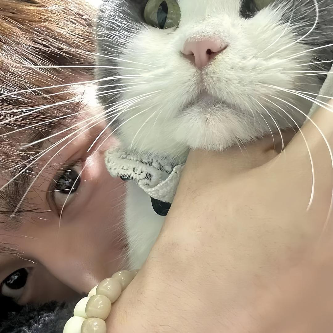 依依