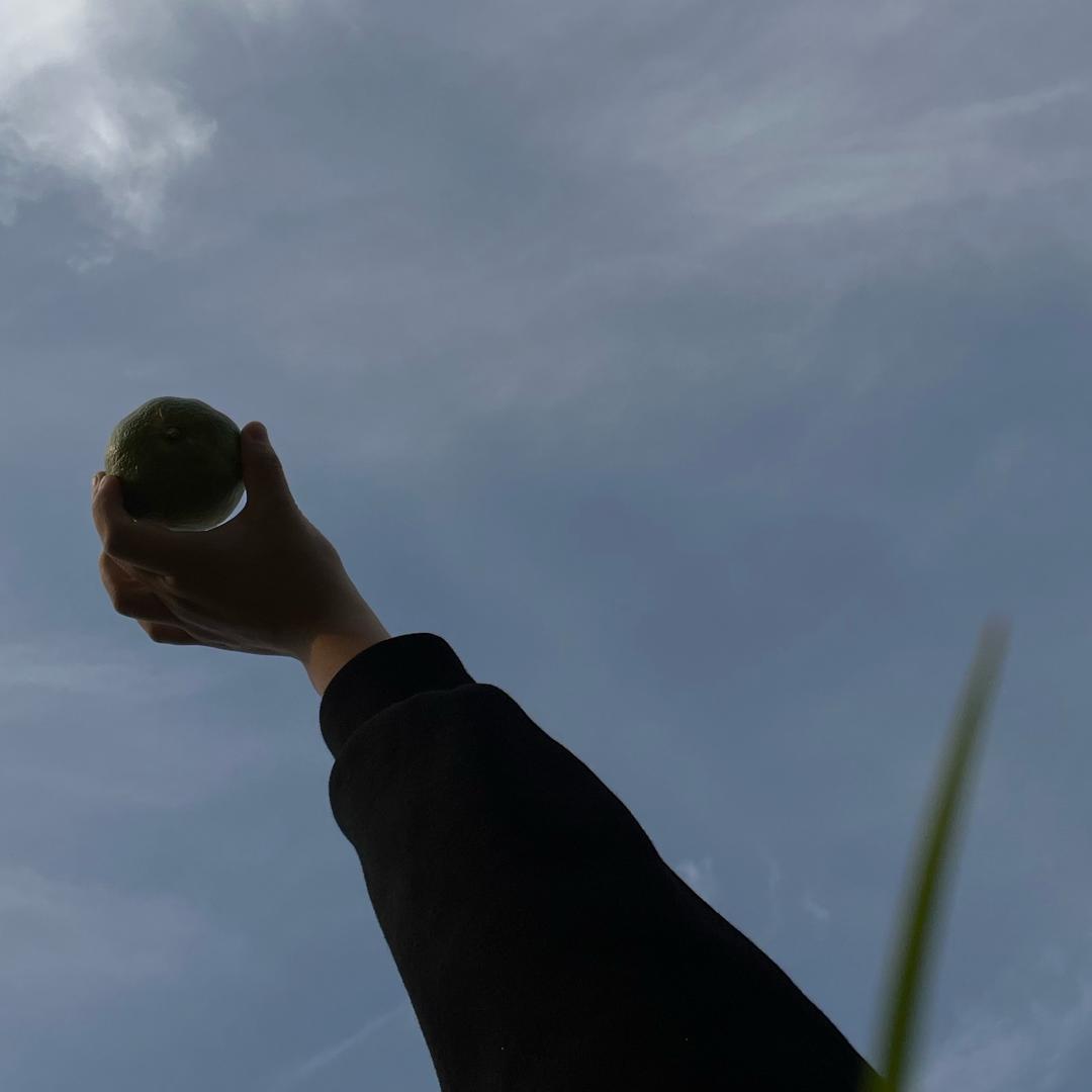 化妆师灰灰