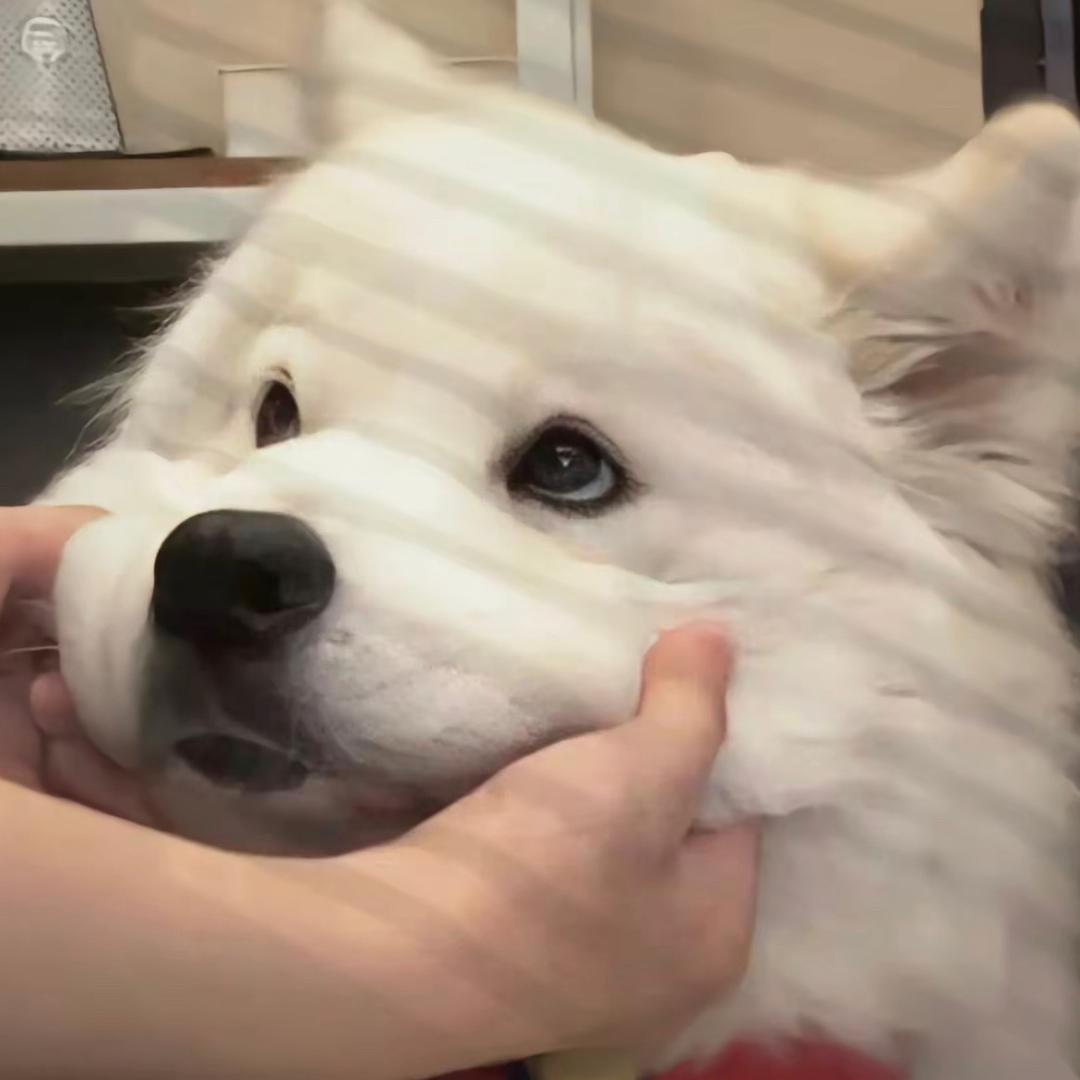 ✨要努力