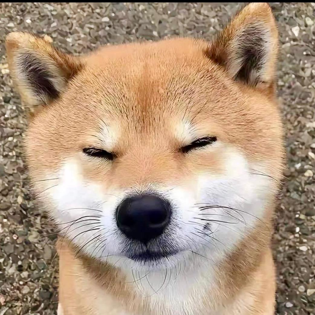 "渡.X.头像