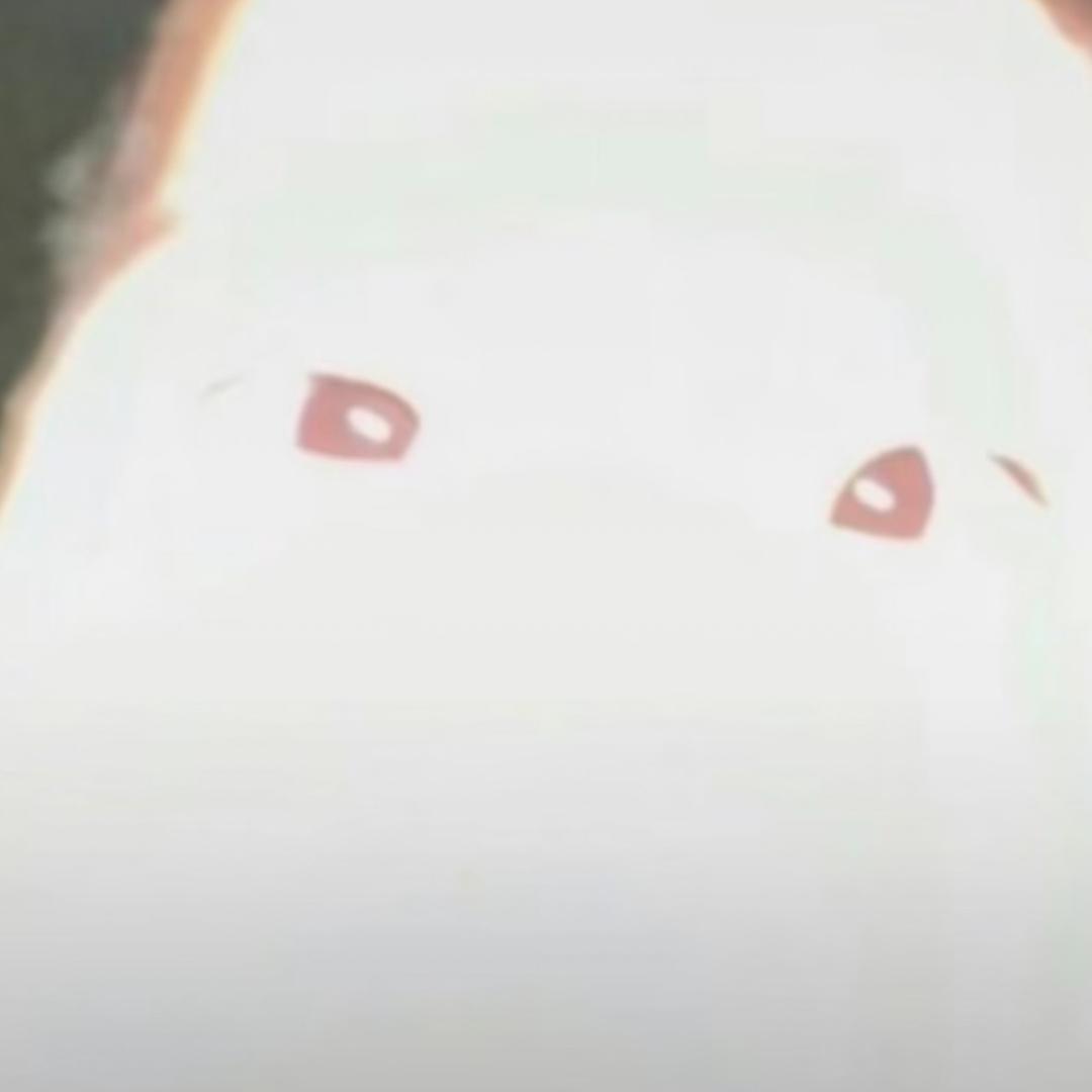 好想睡觉啊💤