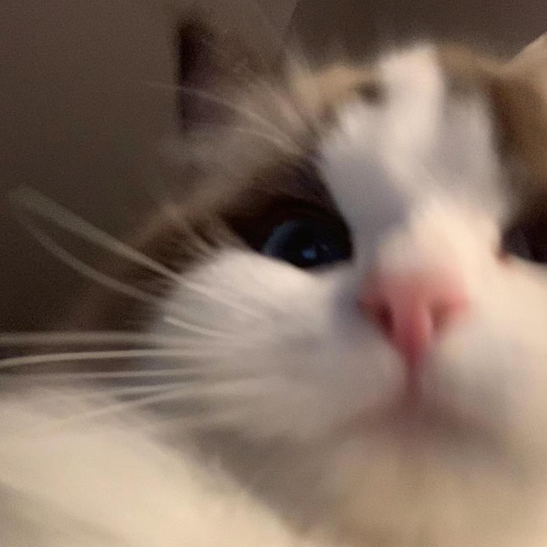 栗言.