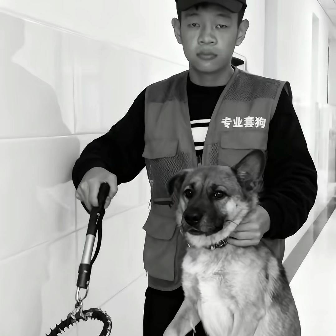 AAA套狗李师傅（专套恶犬）