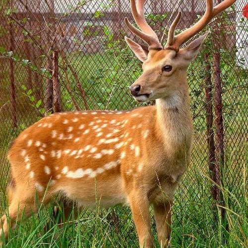 黔乡人生鲜优选