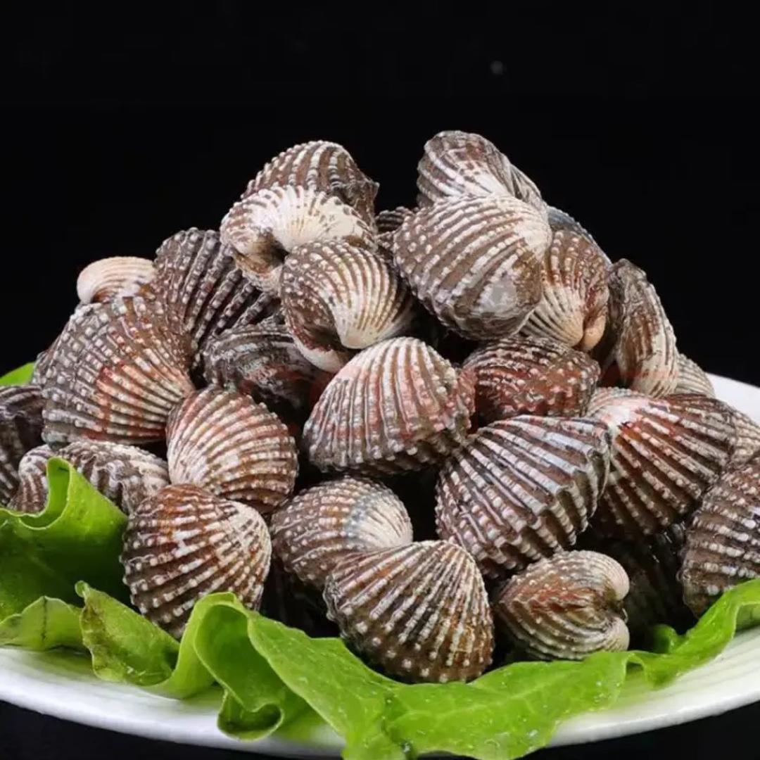 啊润贝壳