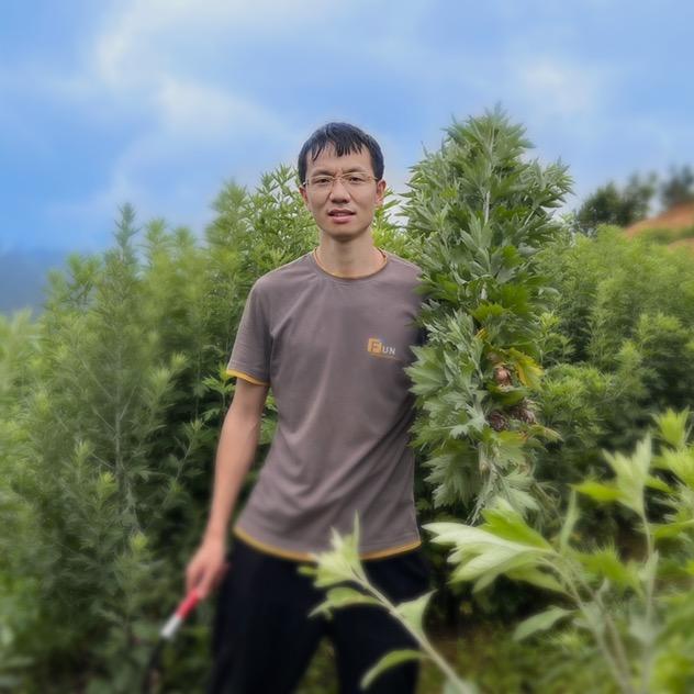 蕲春益群艾
