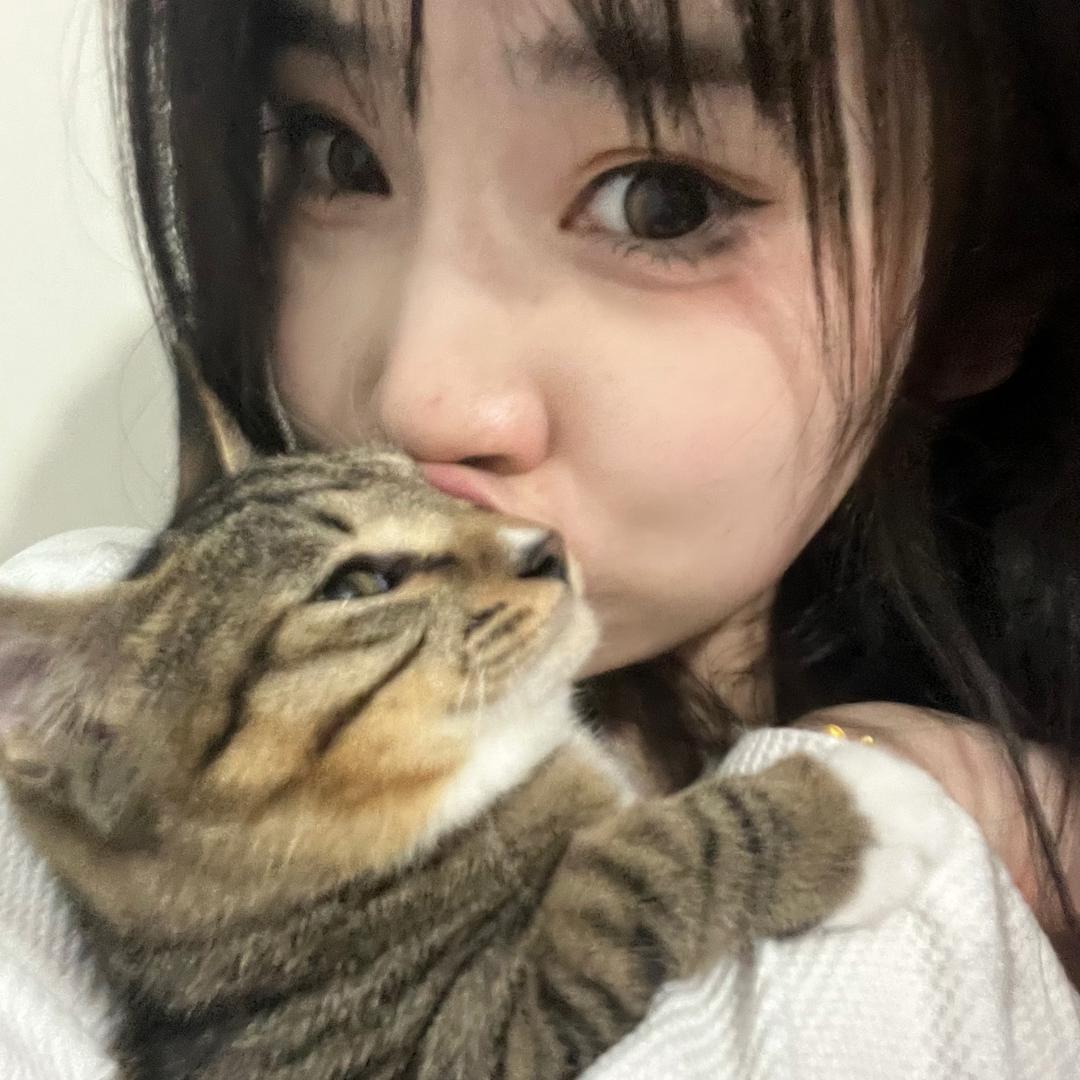圈大大大王