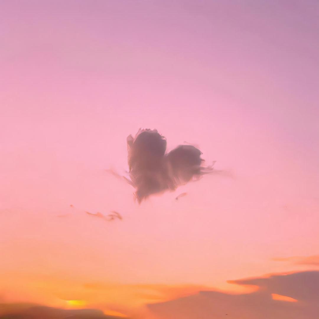 H.