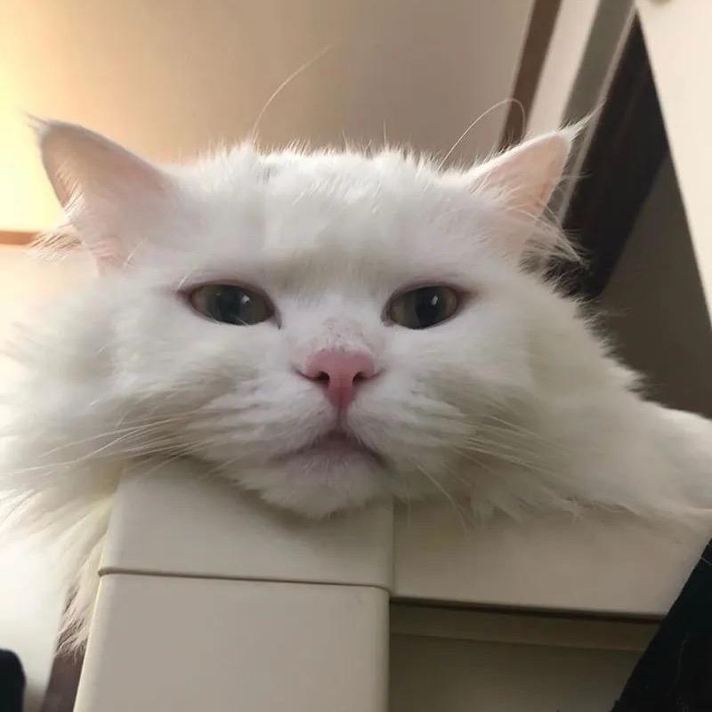 杜若若