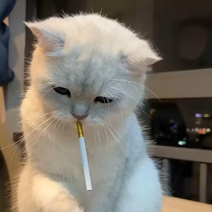 闪现调味.