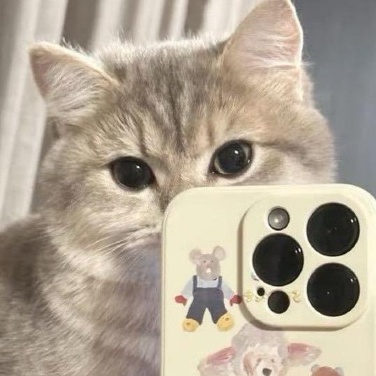 喵咪咪