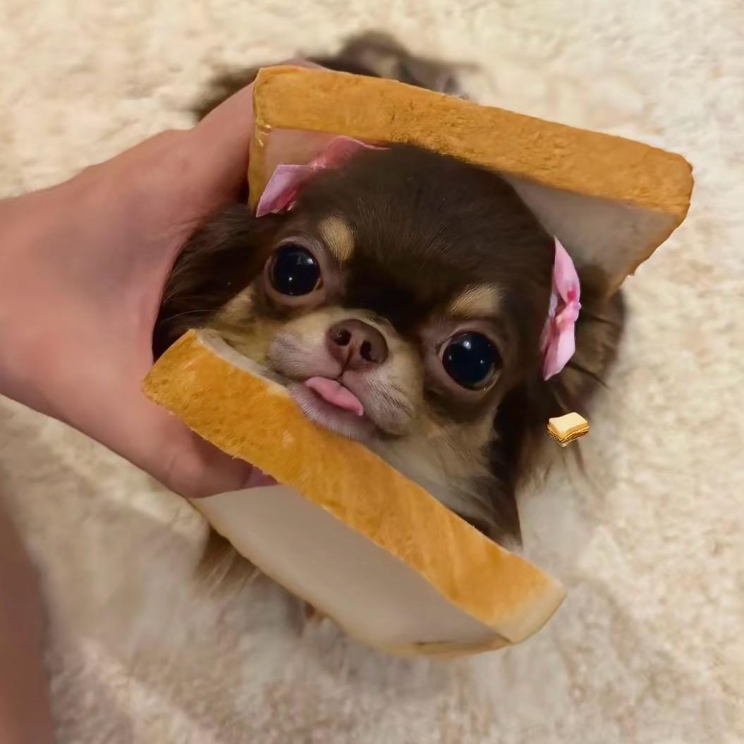 唯他奶奶