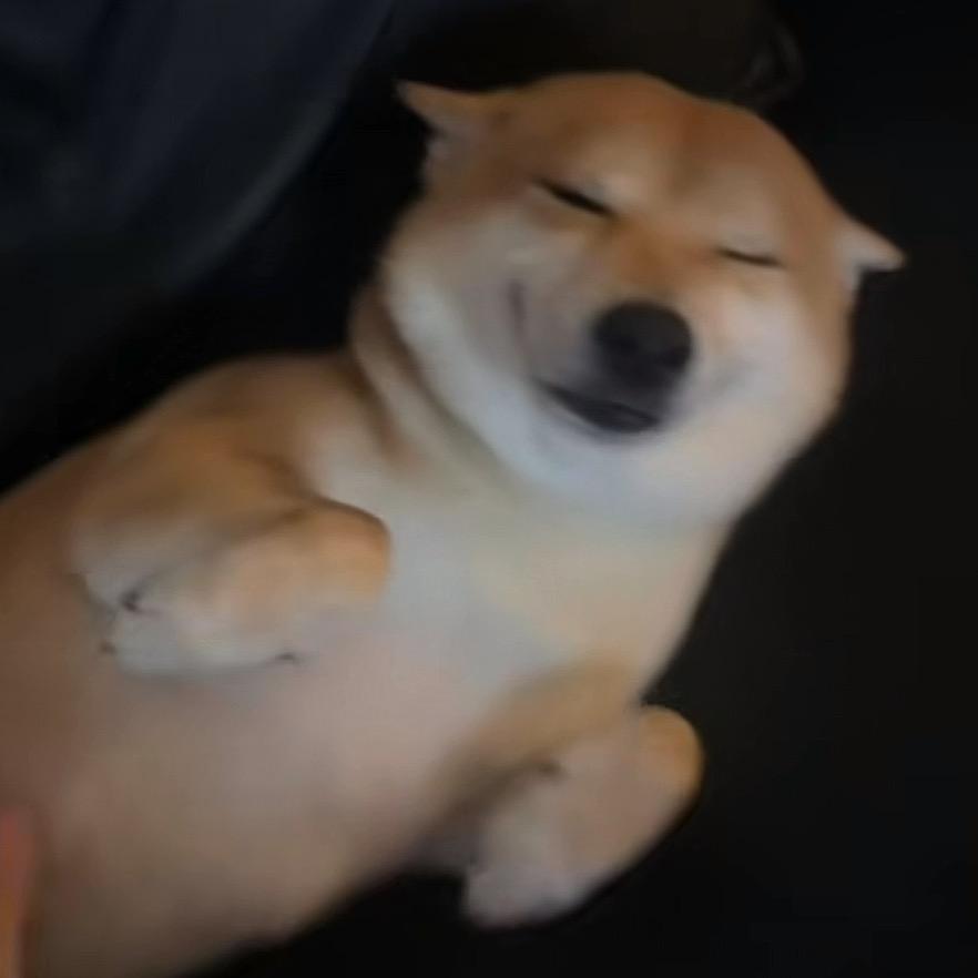 玉桂🐶琳